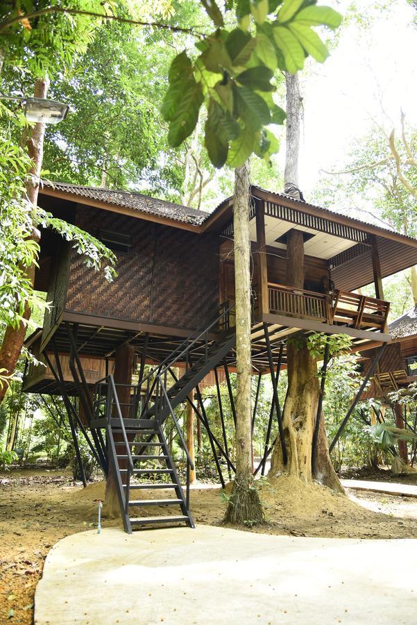 Maison dans un Arbre (4 Adultes)